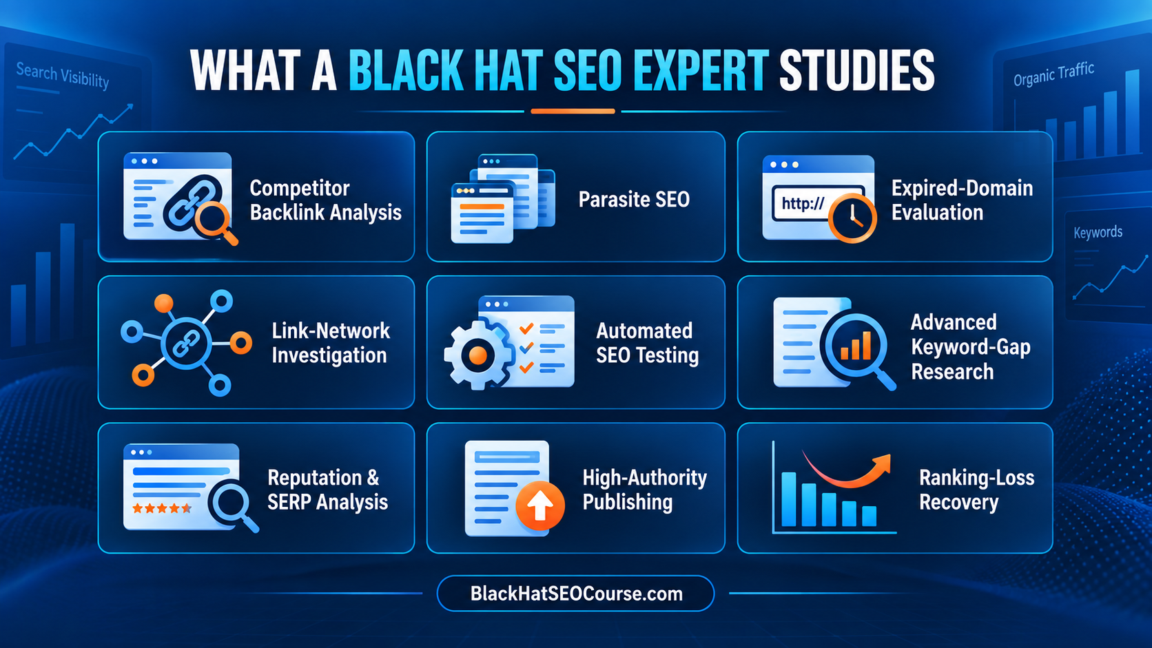 Nine areas studied by a Black Hat SEO Expert, including backlinks, SEO testing, SERP analysis and ranking recovery.