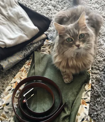 Understanding Behavioral Therapy for Cats and How It Works