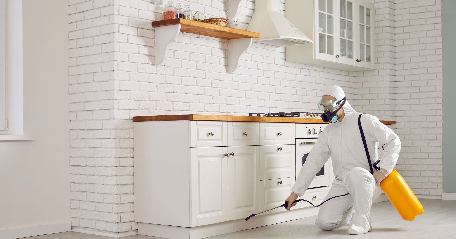 Why Proper Ant Control Matters for Your Property